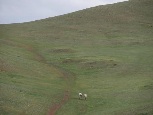 004 mongolei 3